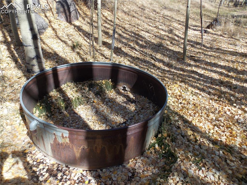 Image 11 of 24: Other