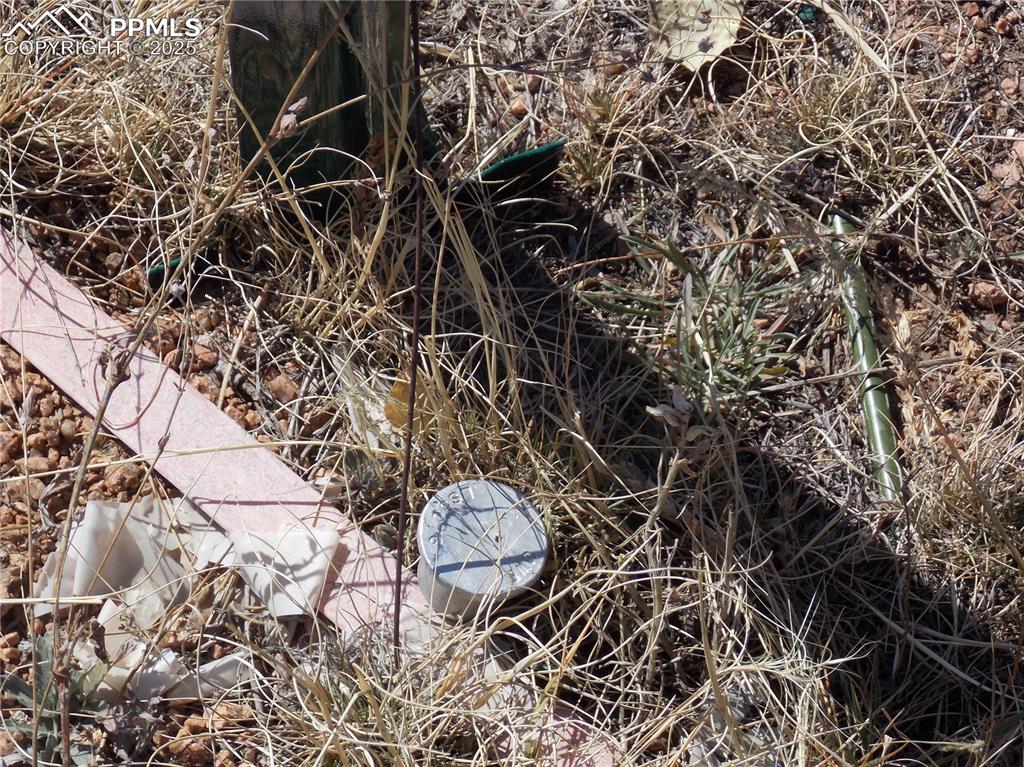 Image 13 of 24: Other