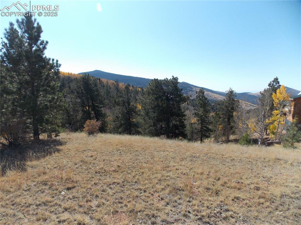 Image 16 of 24: View