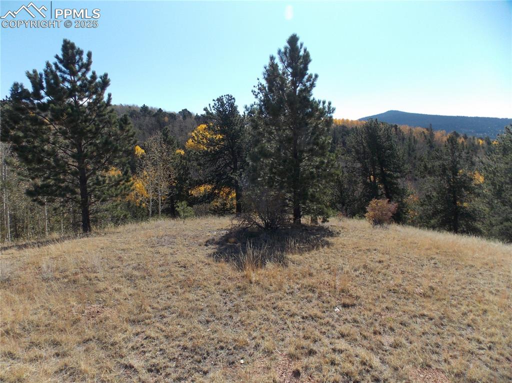 Image 17 of 24: View