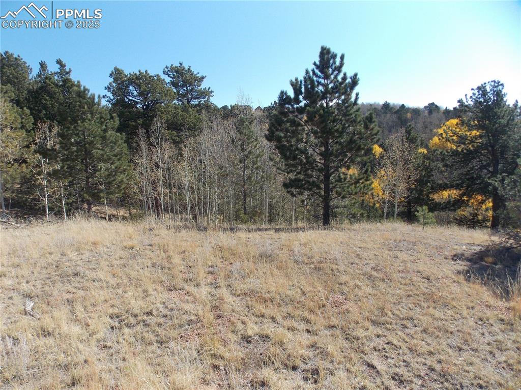 Image 18 of 24: Other