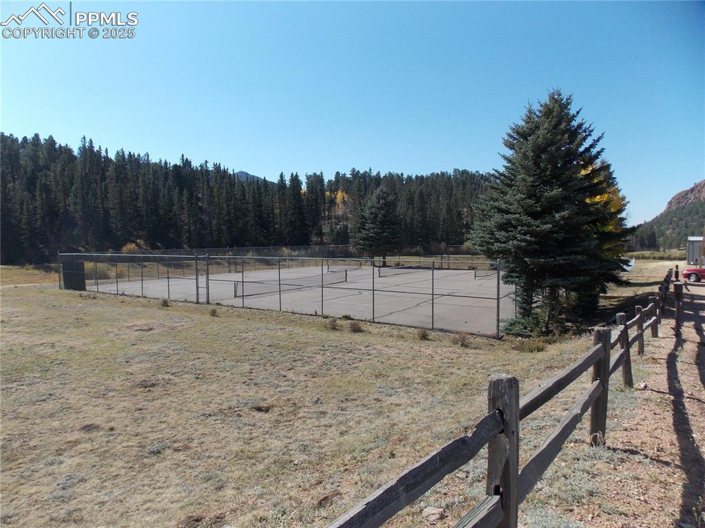 Image 21 of 24: Yard