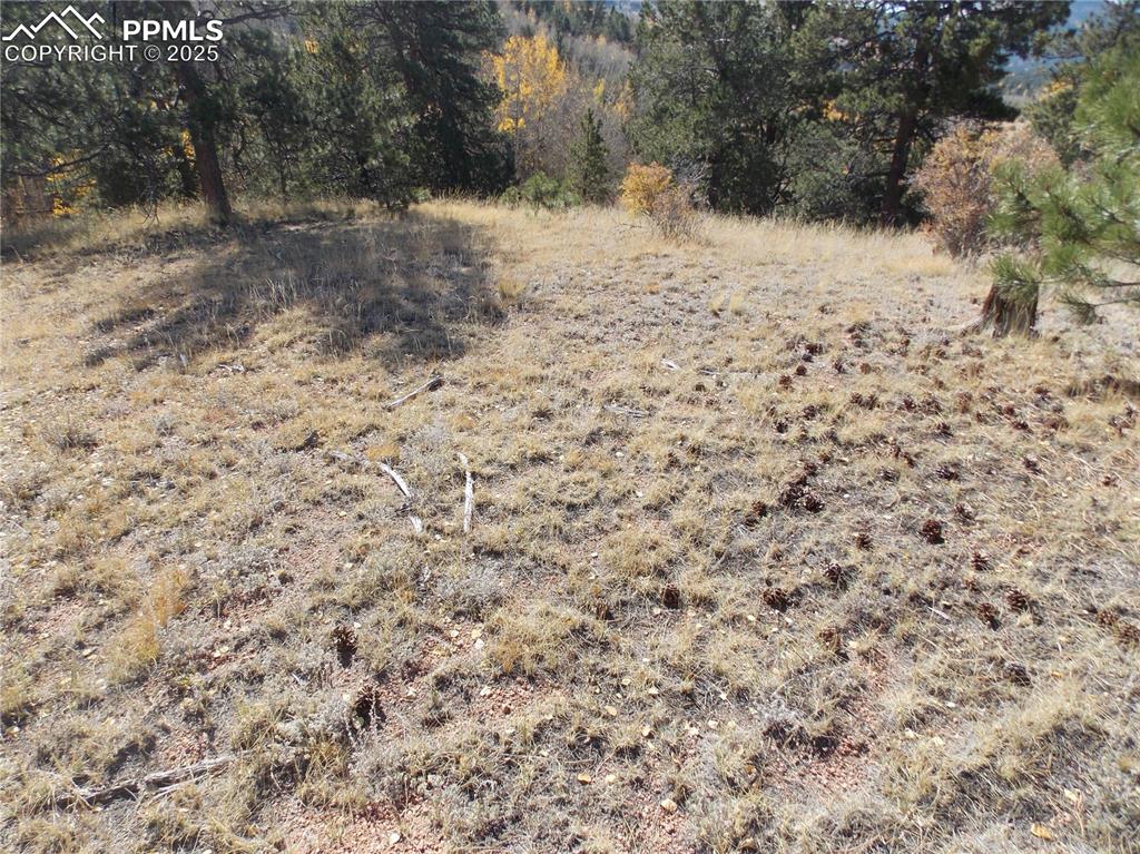 Image 5 of 24: Other