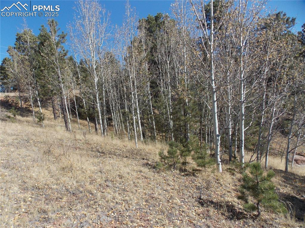 Image 6 of 24: Other