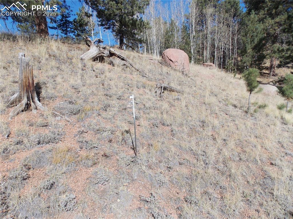 Image 7 of 24: Other