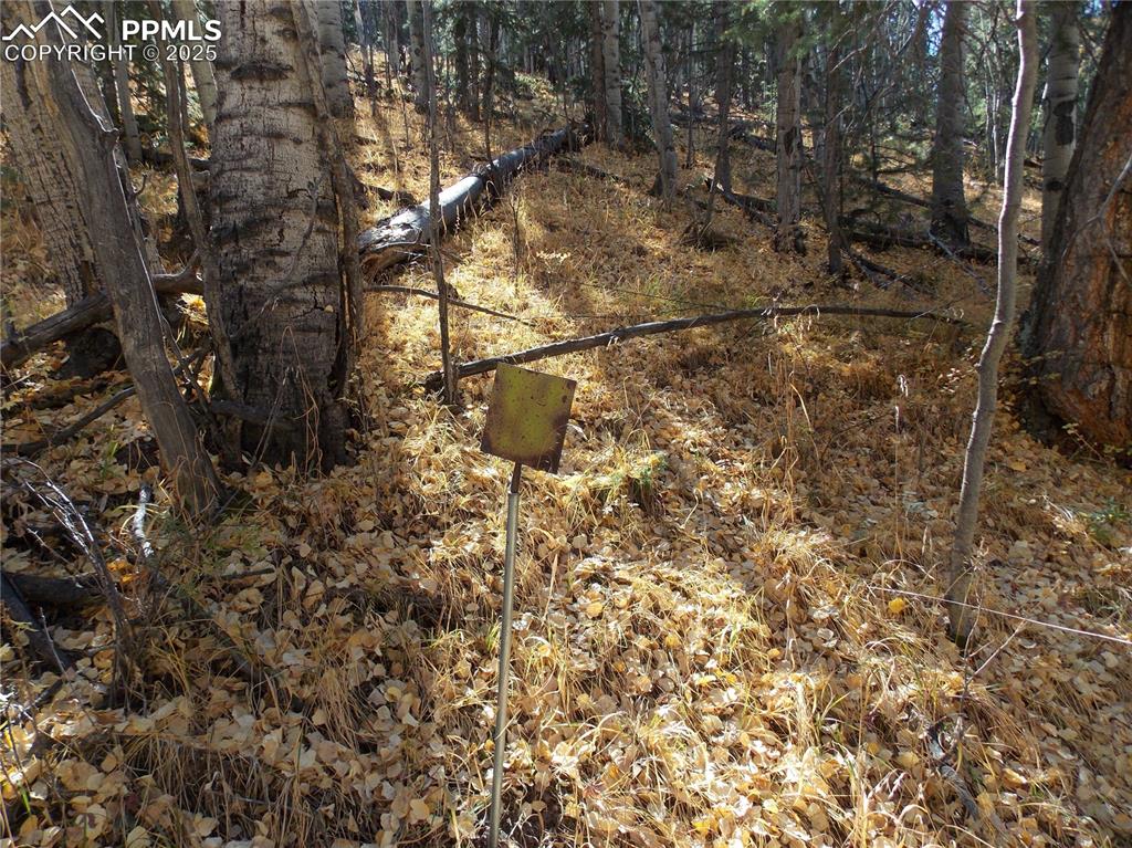 Image 8 of 24: Other