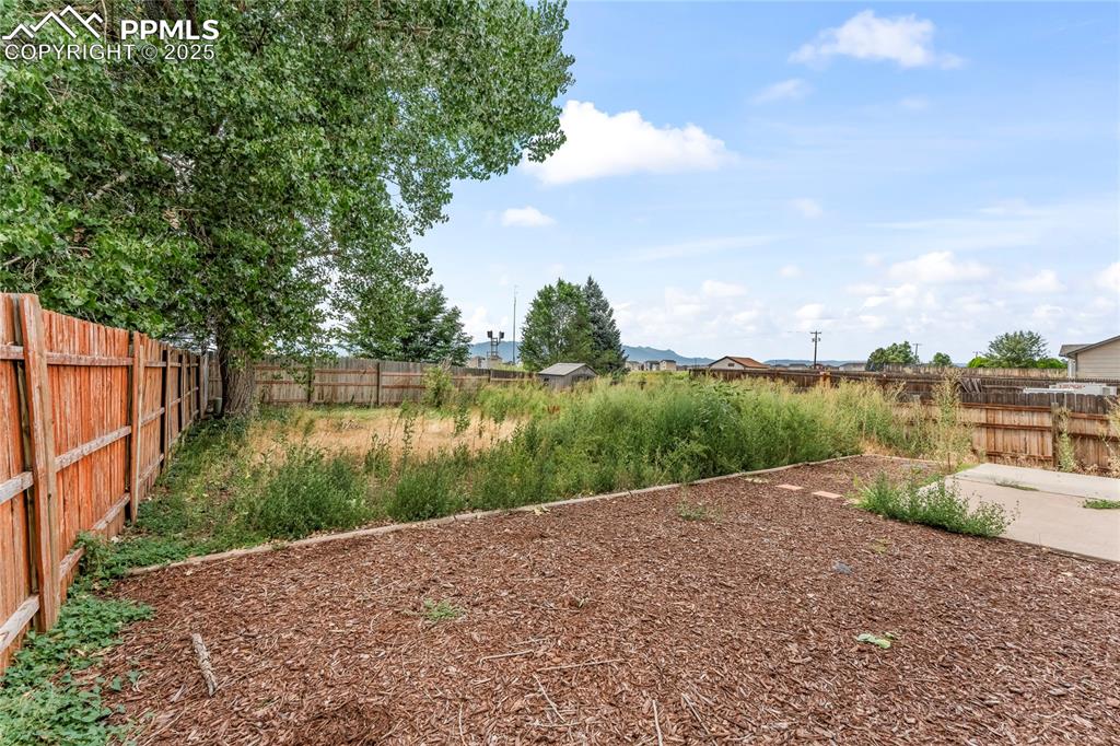 Image 21 of 22: Back yard