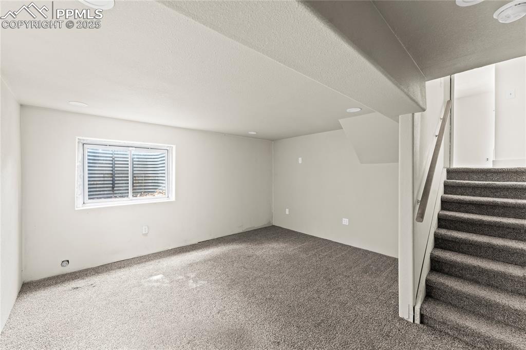 Image 9 of 22: Basement Level living/bedroom