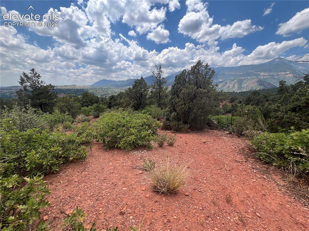 Image 6 of 14: View