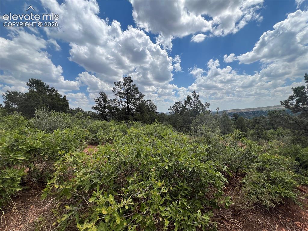 Image 8 of 14: Other