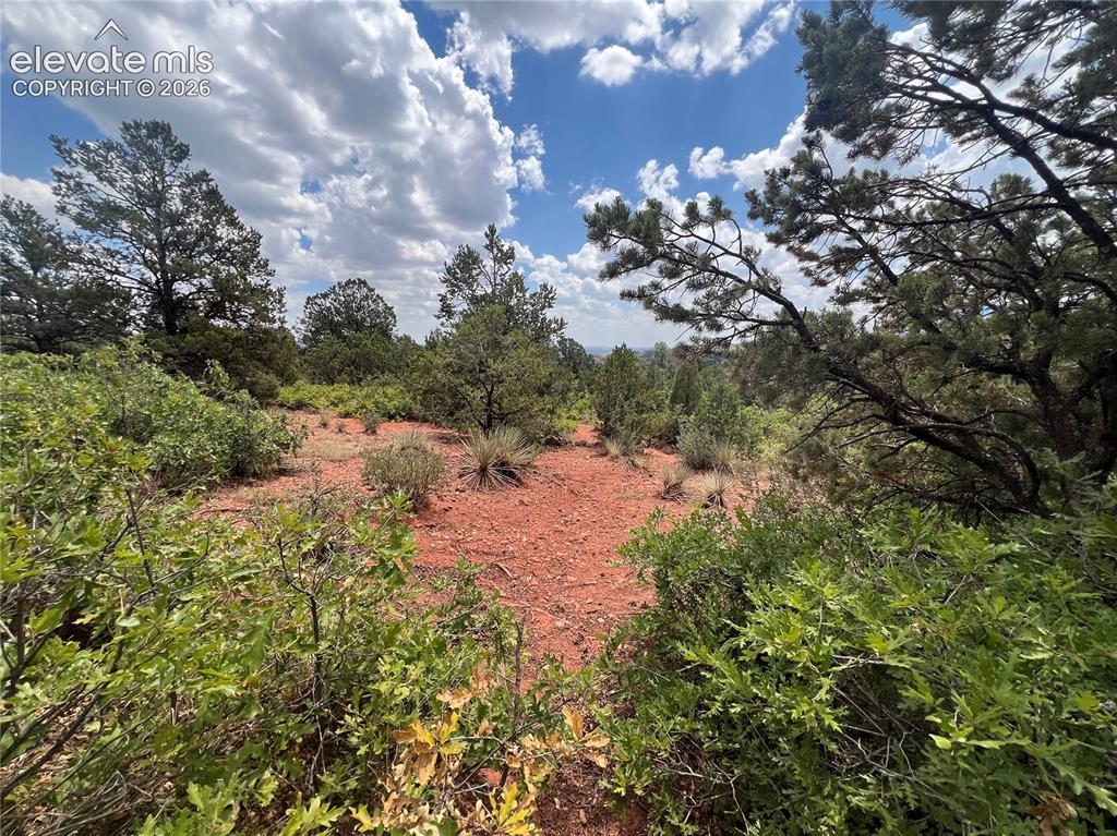 Image 9 of 14: Other