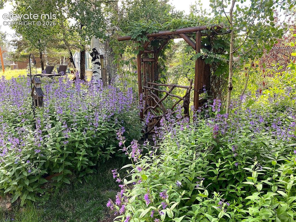Image 24 of 34: Lush and serene, this garden setting features mature landscaping, vibrant b