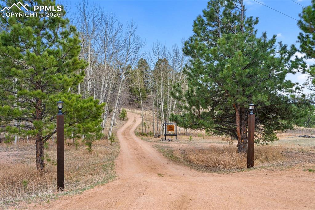 Image 34 of 34: Private drive welcomes you in, winding through the trees and setting the to