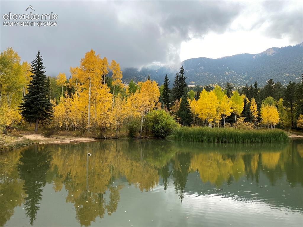 Image 18 of 22: Pond