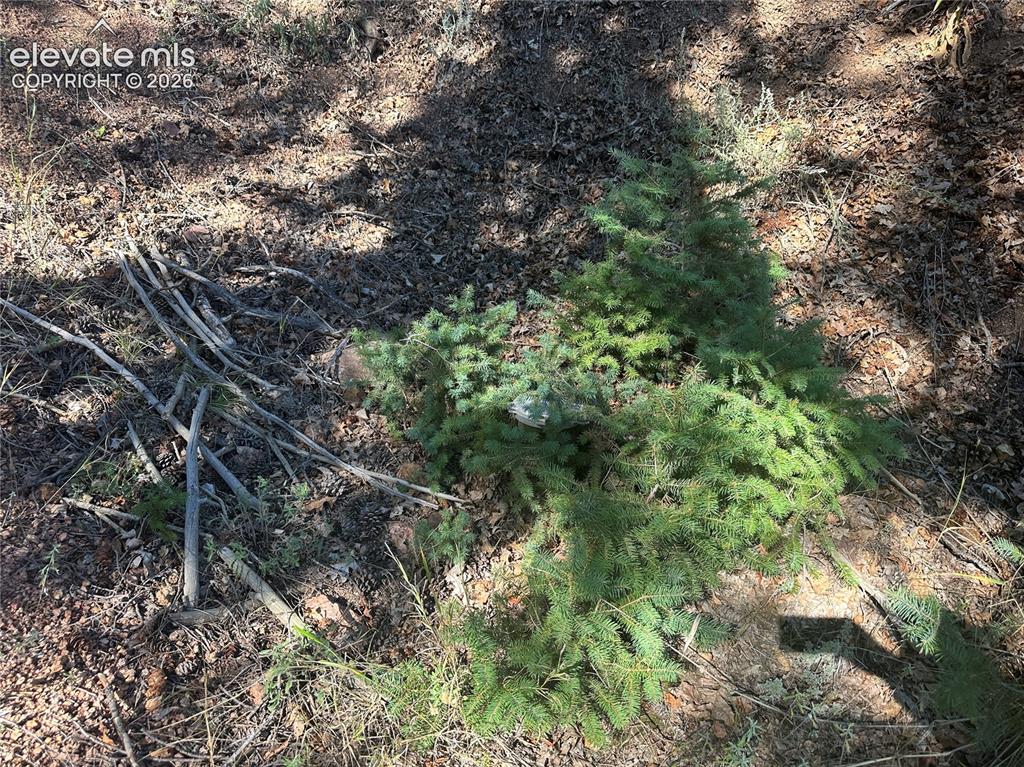 Image 6 of 22: Well cap