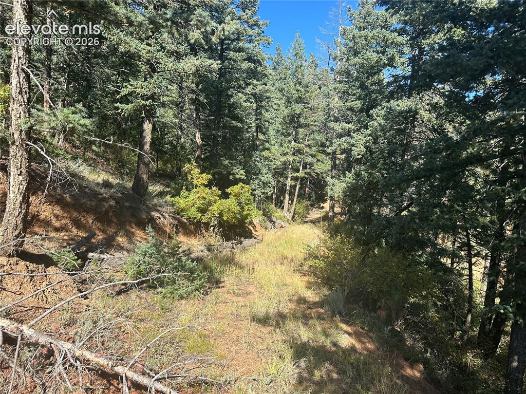 Image 8 of 22: Future driveway and location of the well