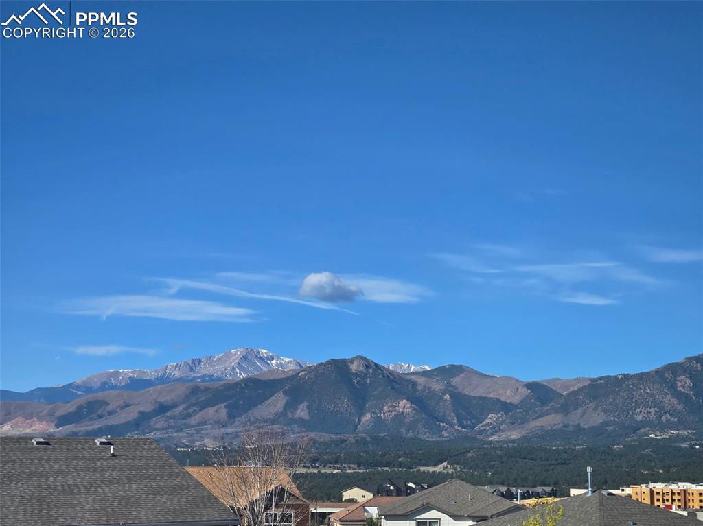 Image 3 of 50: Floor Plan