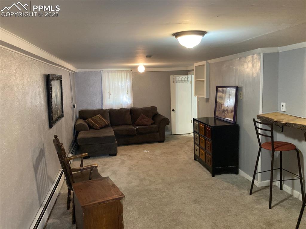 Image 18 of 23: Living room with a baseboard radiator, light colored carpet, ornamental mol