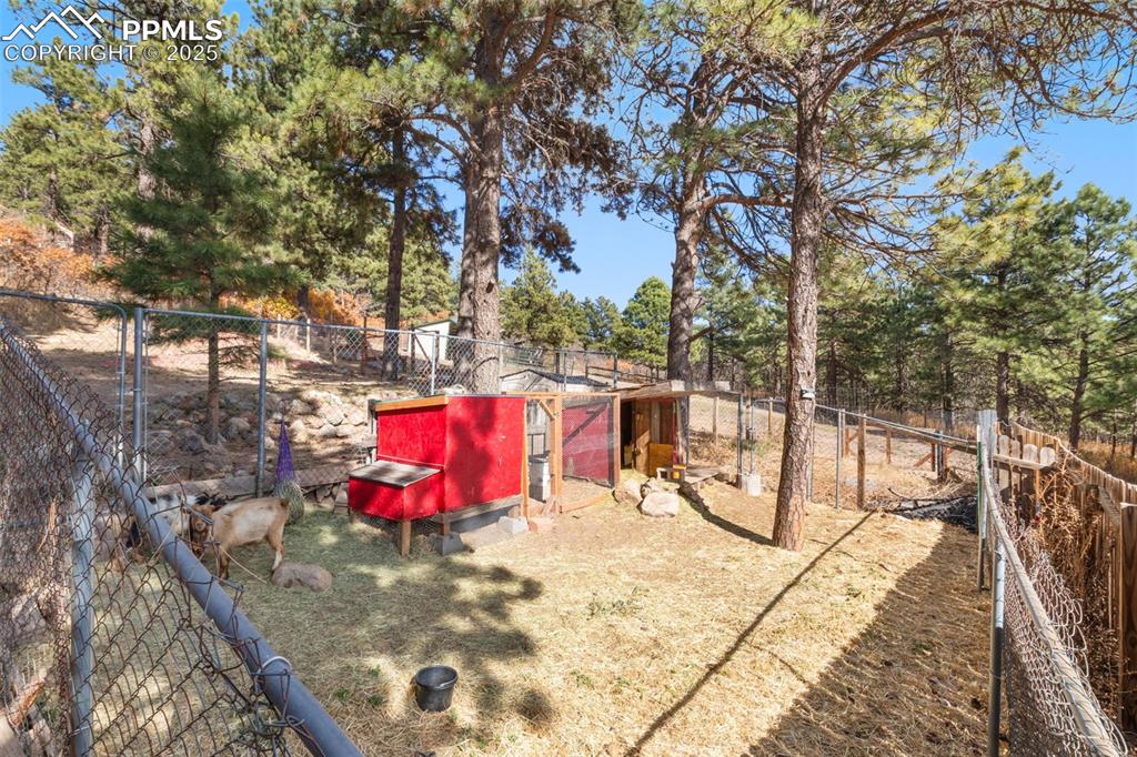 Image 28 of 33: Space for any furry friends