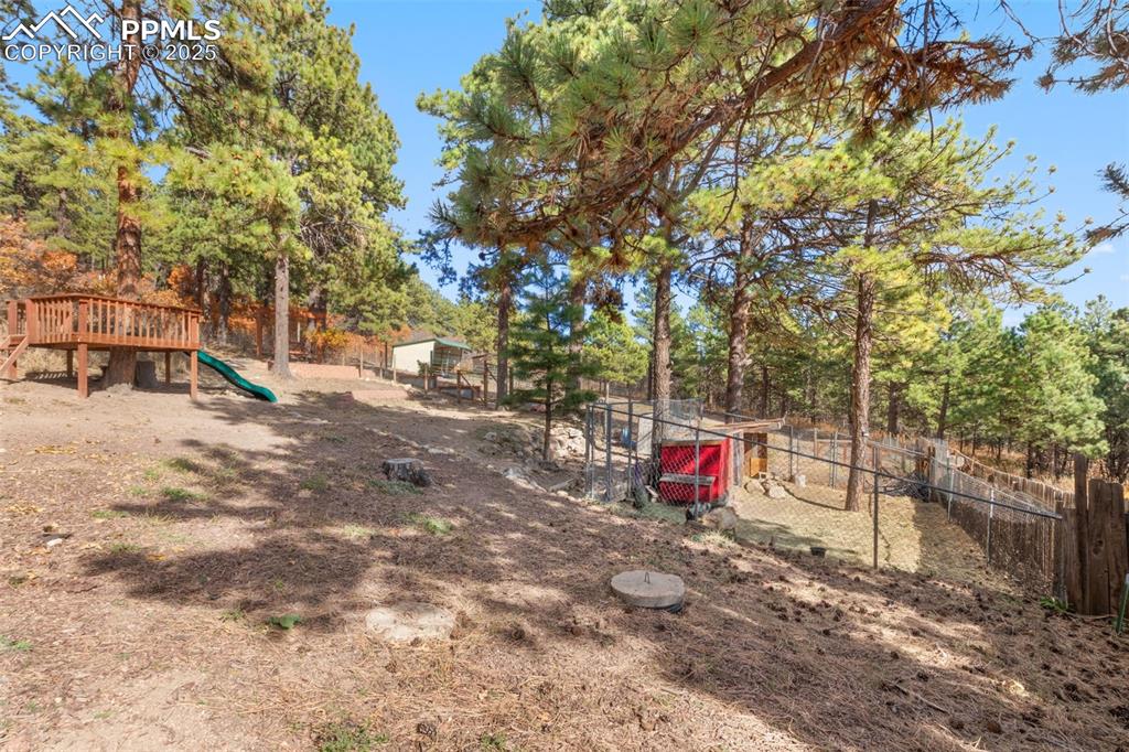 Image 29 of 33: Space for furry friends