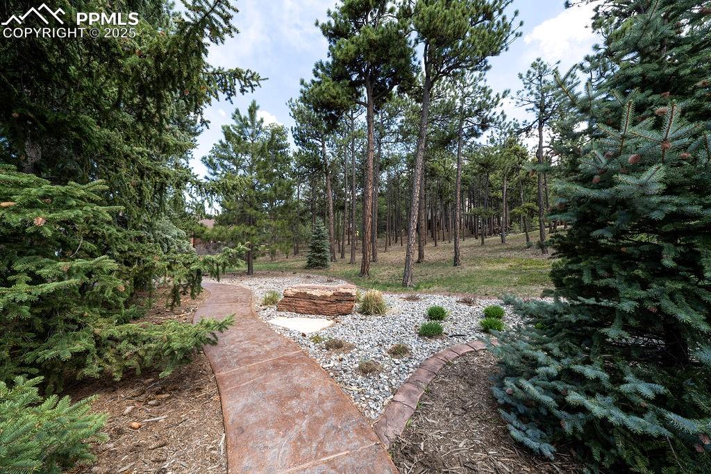 Image 42 of 42: View of yard