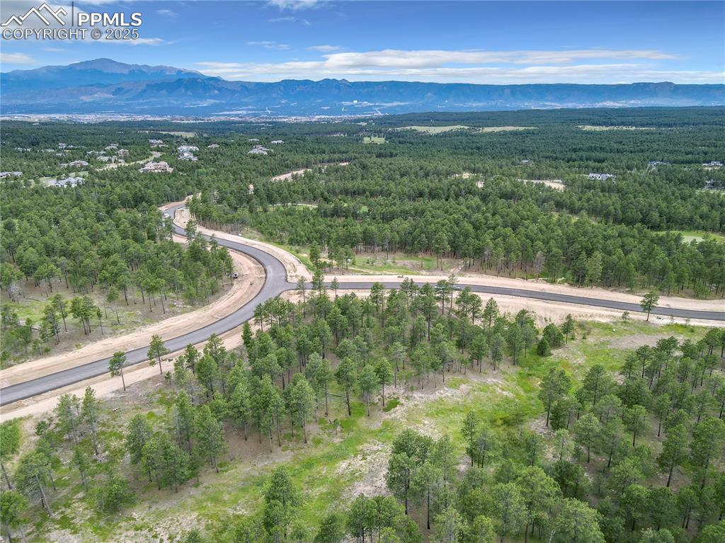 Image 8 of 9: Aerial view of a forest and mountains