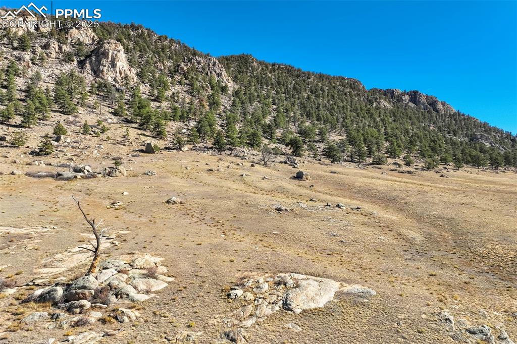 Image 29 of 50: View