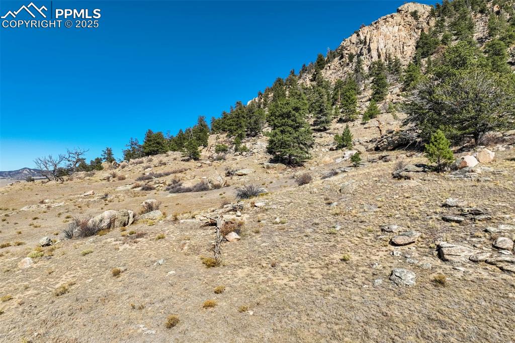 Image 31 of 50: View