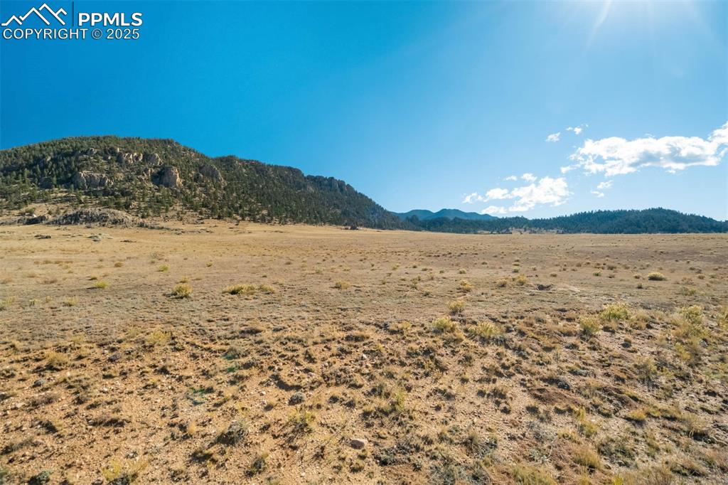 Image 41 of 50: View