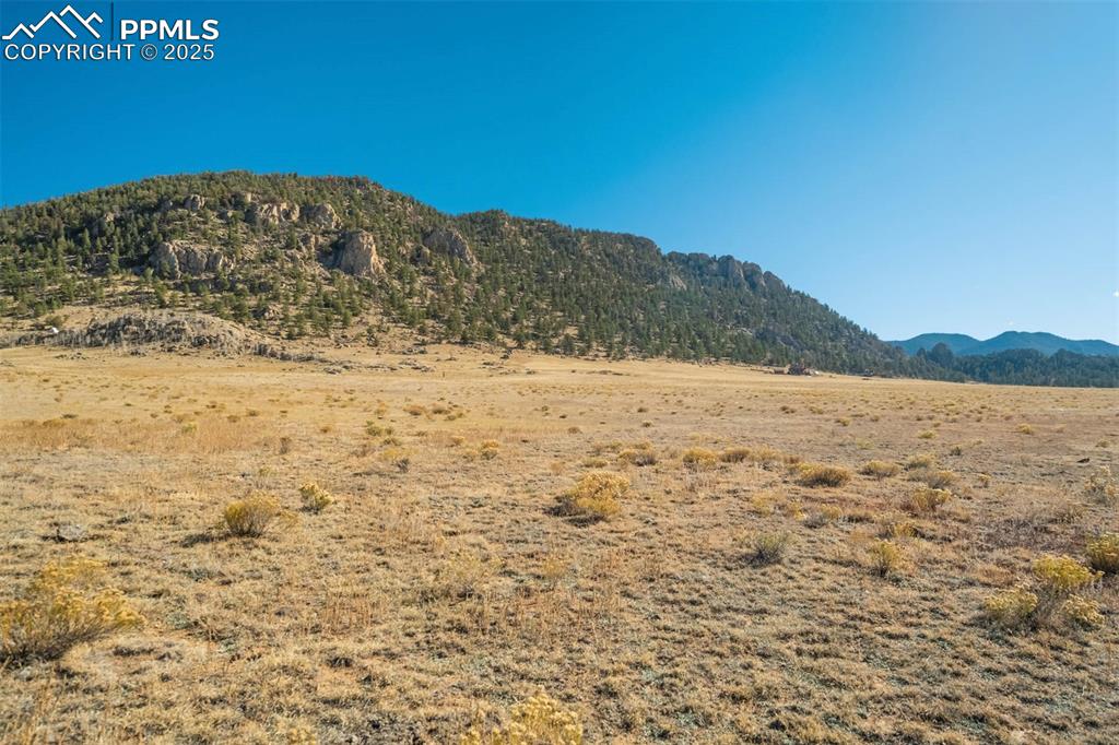 Image 46 of 50: View