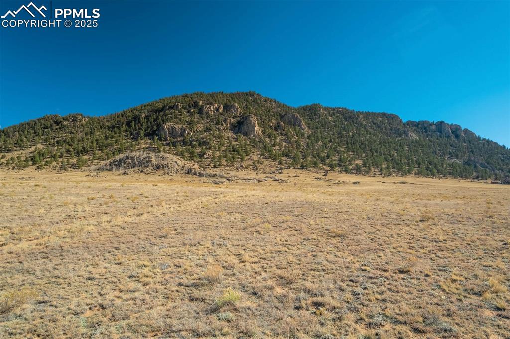 Image 47 of 50: View