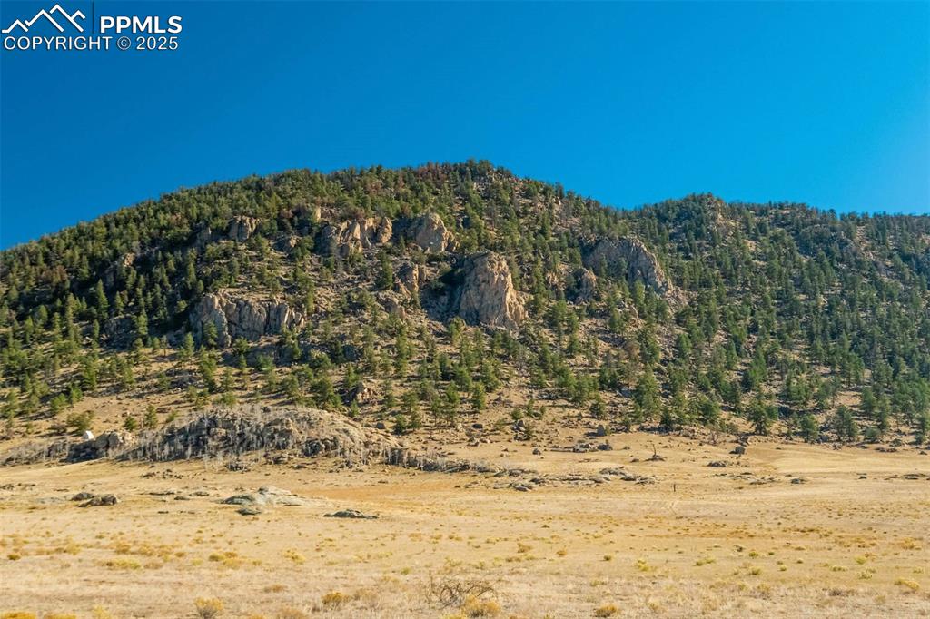 Image 48 of 50: View