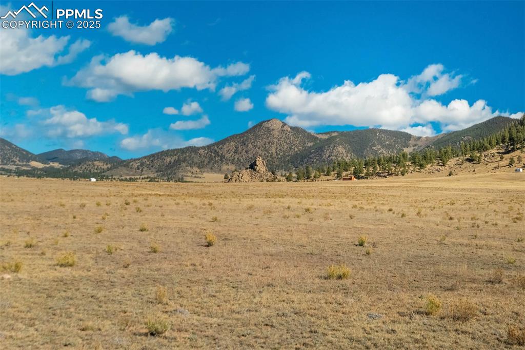 Image 49 of 50: View