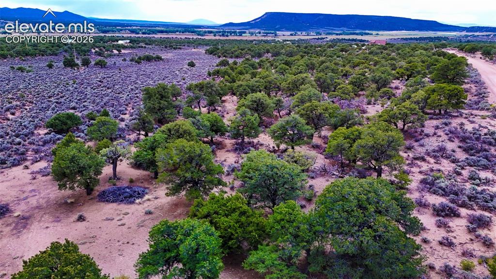 Image 15 of 31: Aerial View