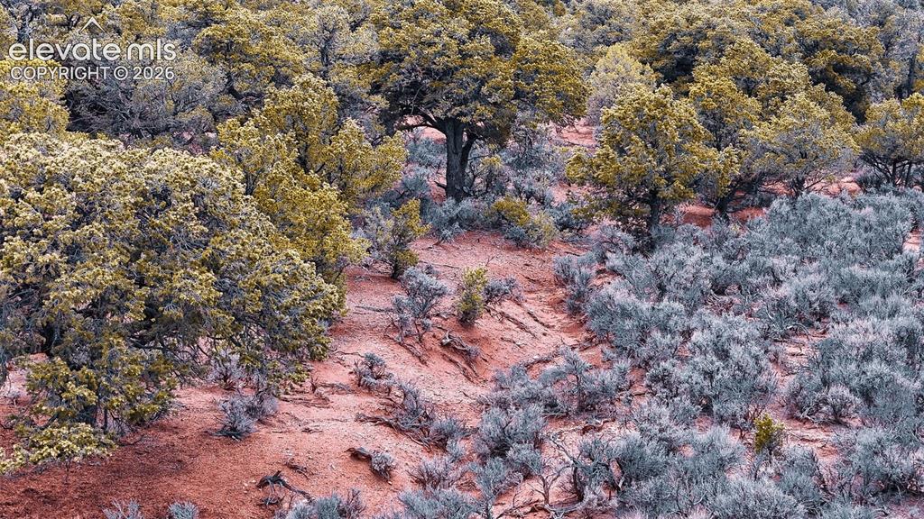 Image 5 of 31: Aerial View