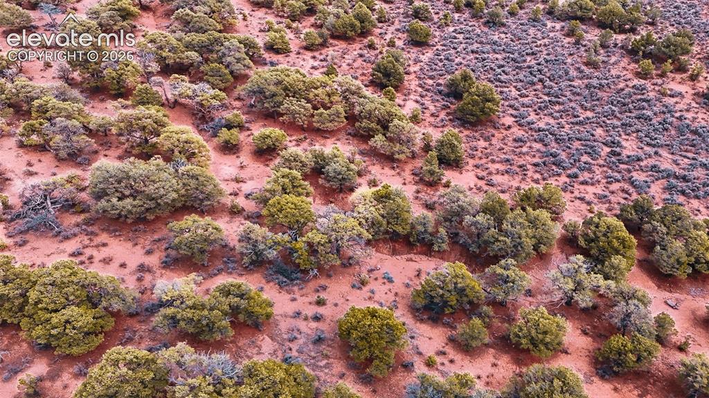 Image 8 of 31: Other