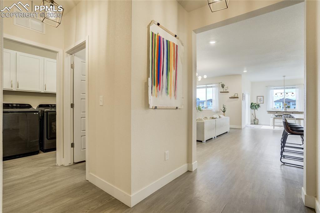 Image 20 of 50: Other