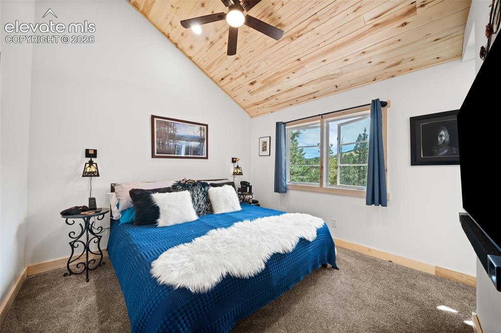 Image 15 of 42: Main leve primary bedroom