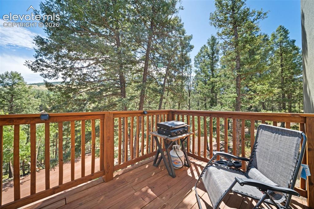 Image 29 of 42: Main leve deck