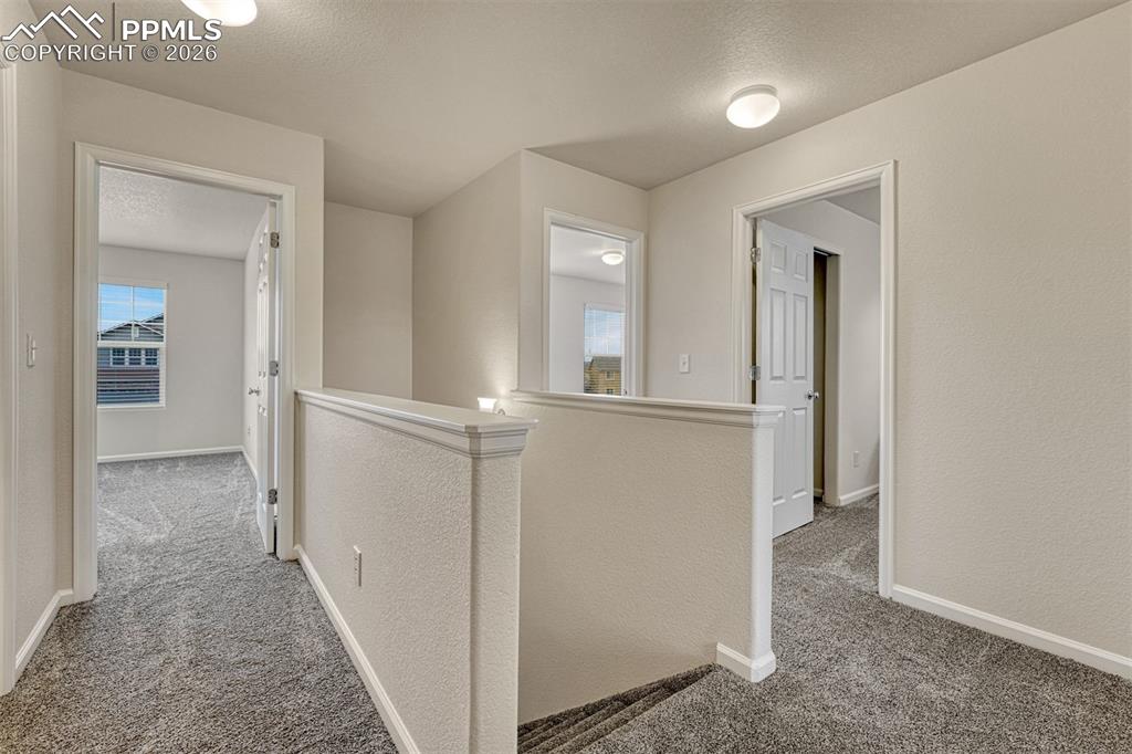 Image 15 of 44: Other