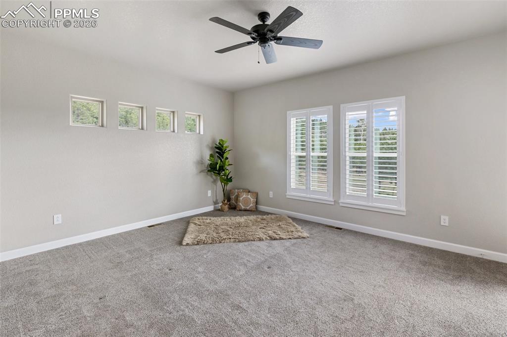 Image 36 of 50: Other