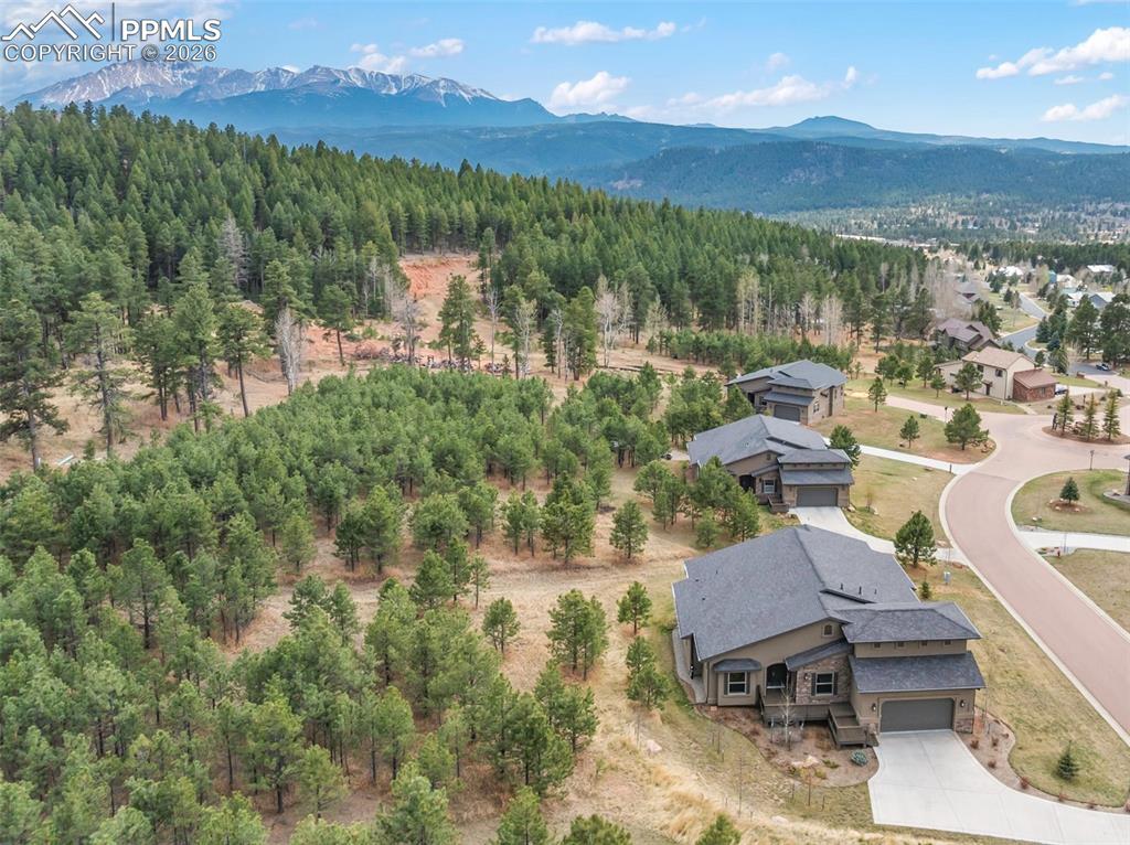 Image 46 of 50: Aerial View