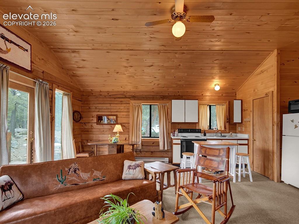 Image 9 of 25: Living Room