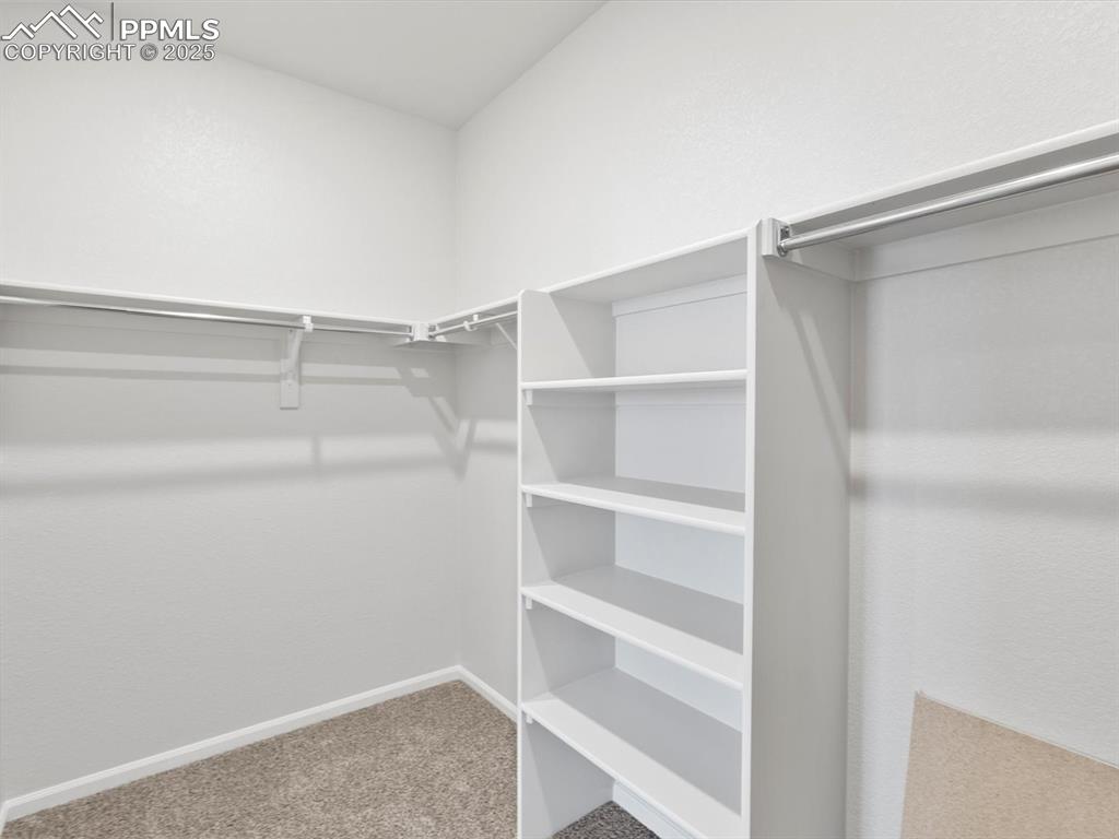Image 17 of 19: Spacious closet featuring carpet floors