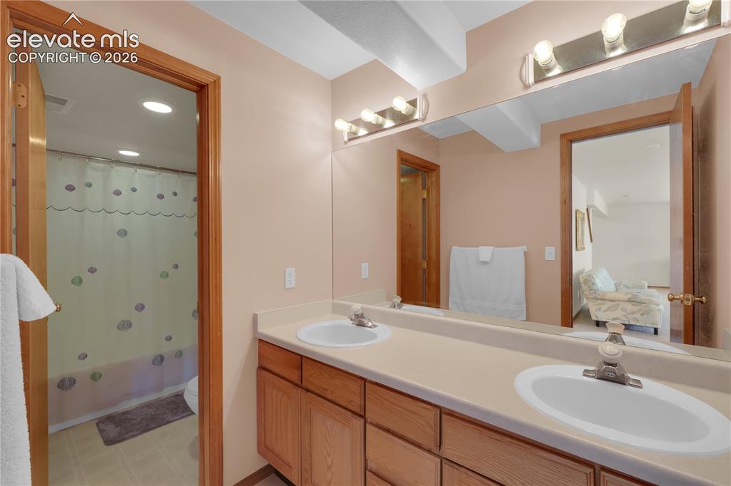 Image 18 of 27: Basement bathroom
