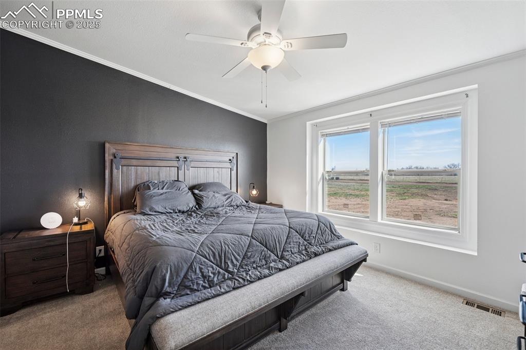 Image 23 of 34: Carpeted bedroom featuring crown molding, ceiling fan, visible vents, and b