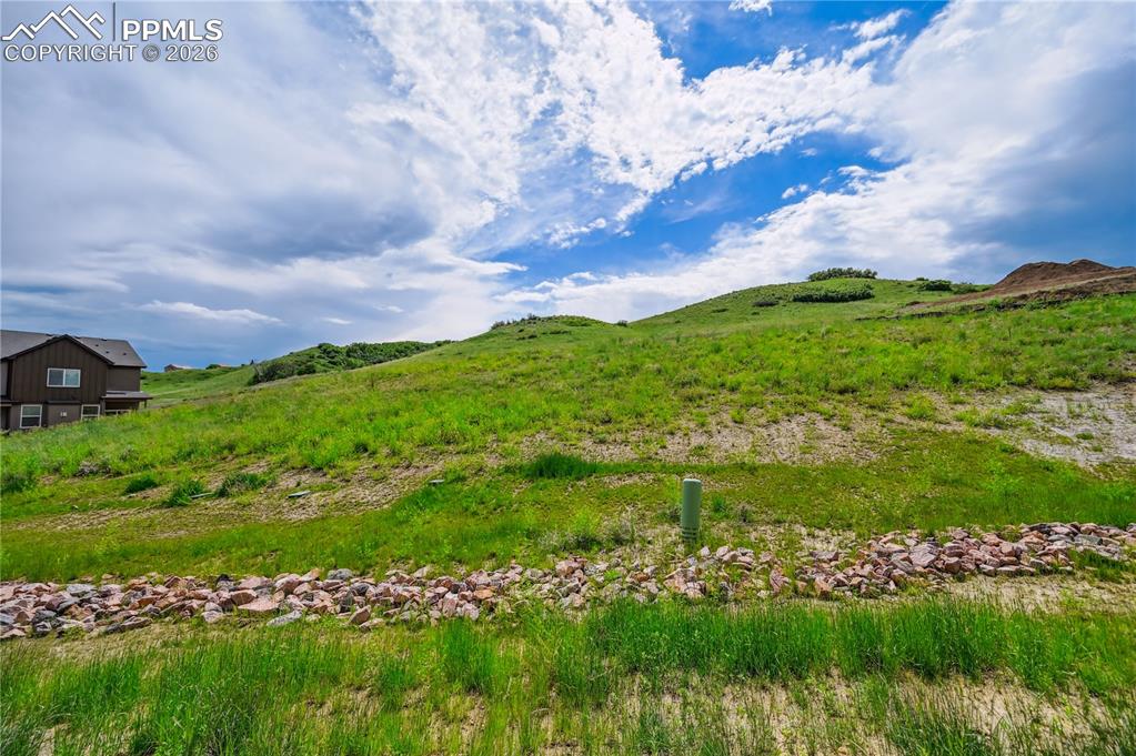 Image 40 of 42: Summer photo of the open space from behind the home