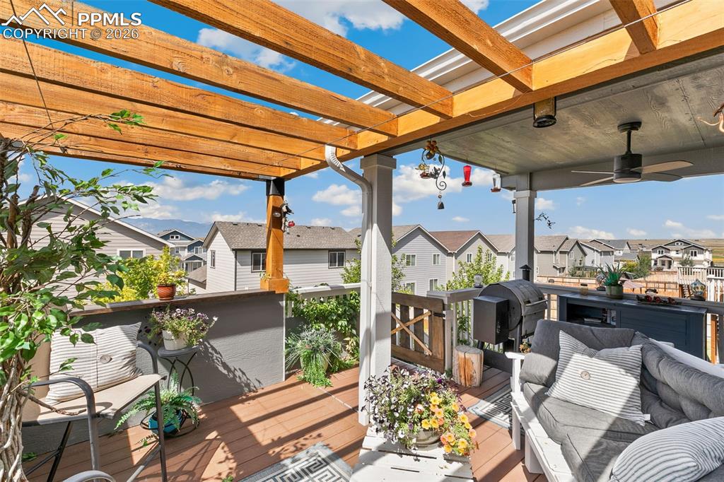 Image 46 of 50: Other