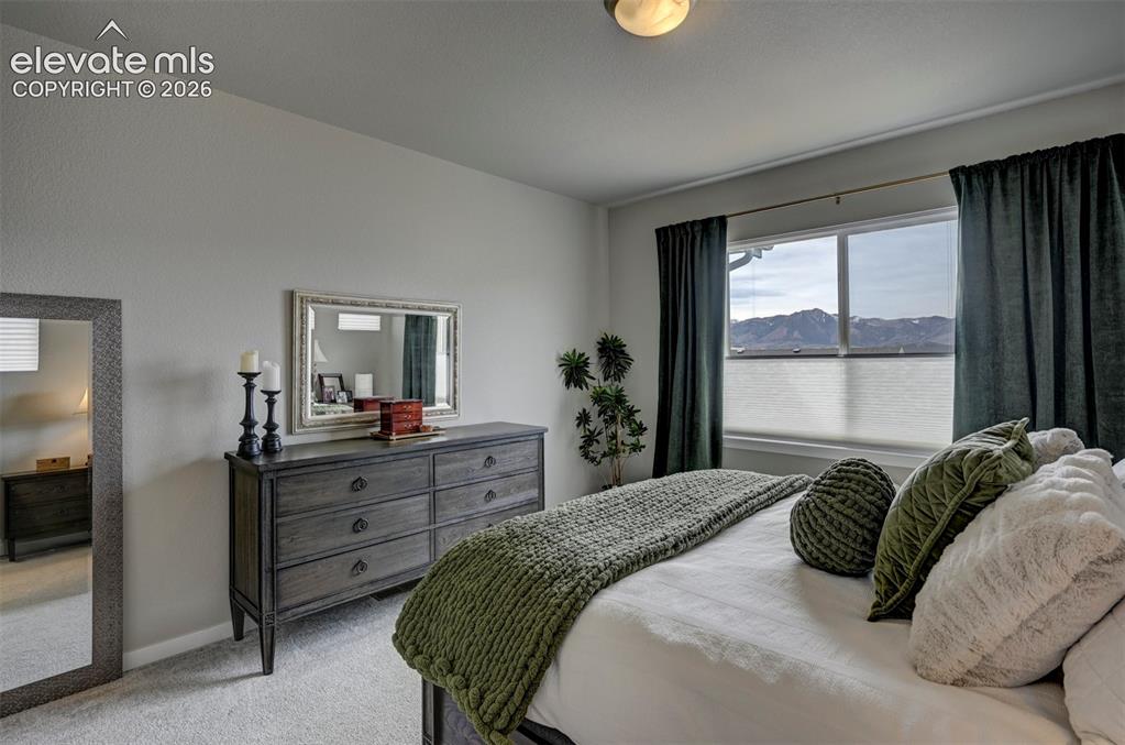 Image 8 of 29: Broadloom carpeting and a spacious window offering scenery