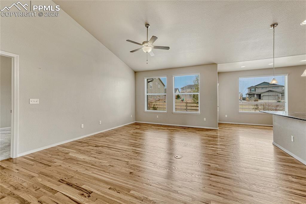 Image 8 of 38: Other